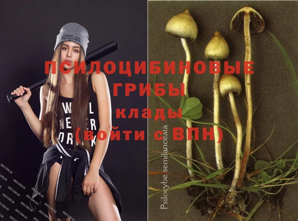 винт Алексин
